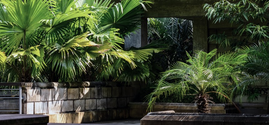 Winter Prep: Protecting Your Urban Garden Through the Cold Months
