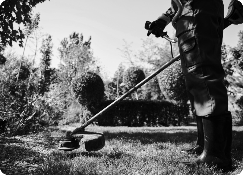 Composting in Small Spaces: Urban Solutions for Apartment Gardeners